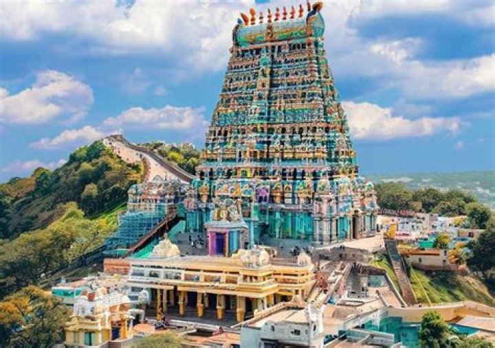 Who built Palani Murugan temple?