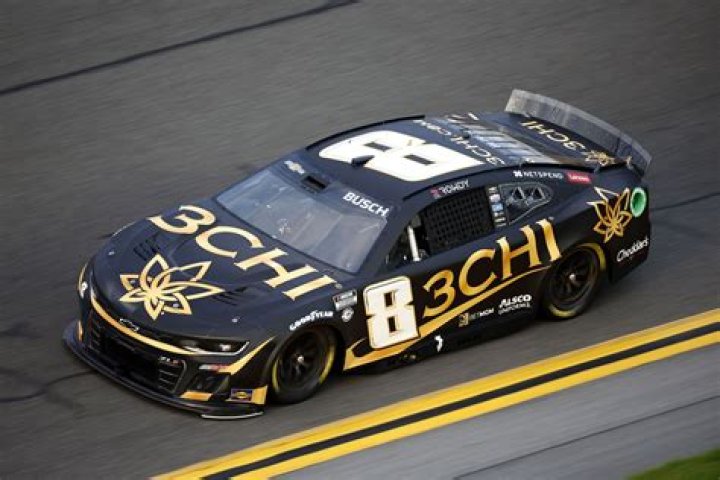 Who drives the Busch car in Nascar?