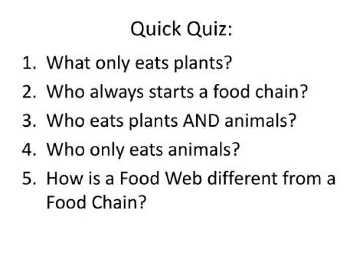 Who eats plants and animals?