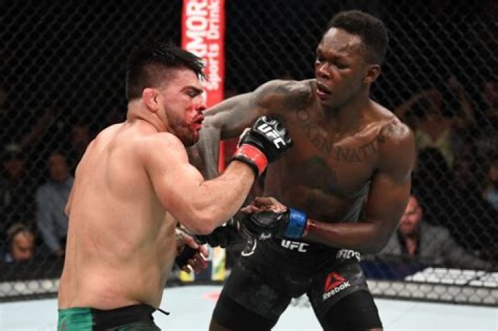 Who has Kelvin Gastelum fought?