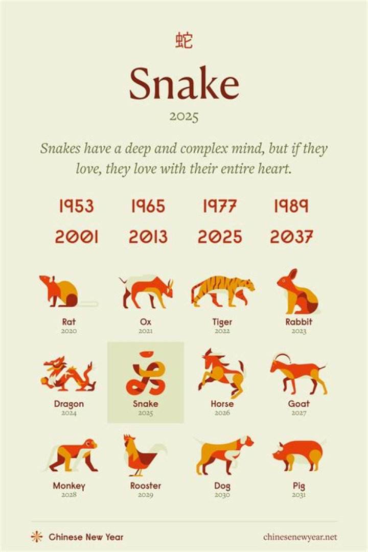 Who is compatible with Year of the Snake?
