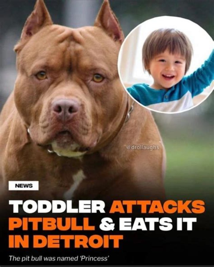 Who is Pitbulls daughter?