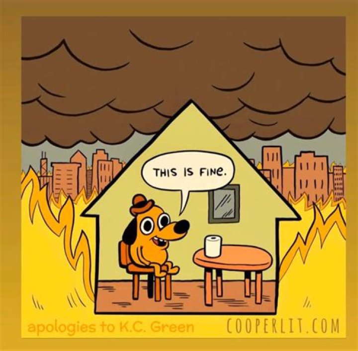 Who is the dog in this is fine?