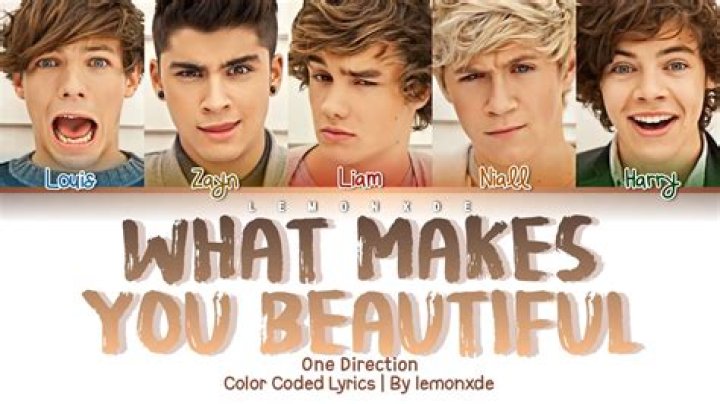 Who is the original singer of what makes you beautiful?