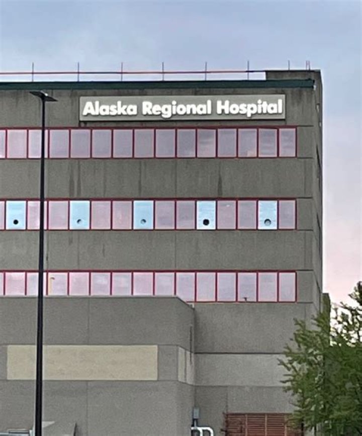 Who owns Alaska Regional Hospital?
