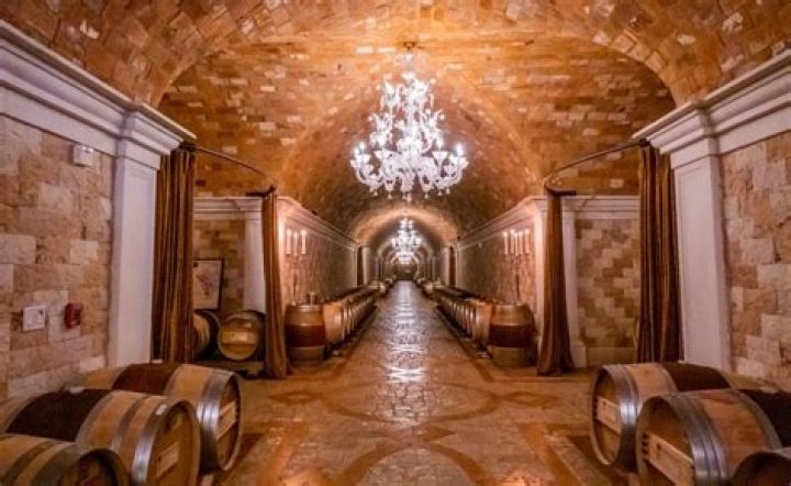 Who owns Del Dotto Winery?