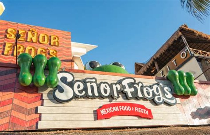 Who owns Senor Frog?