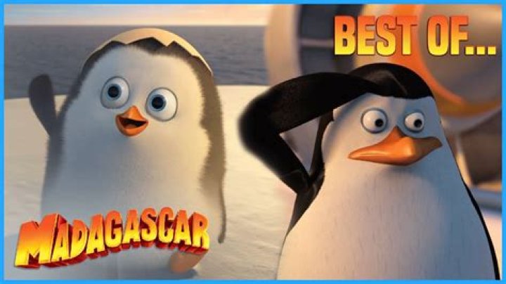 Who plays Private penguin?