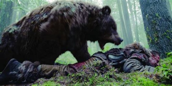 Who was the bear in The Revenant?