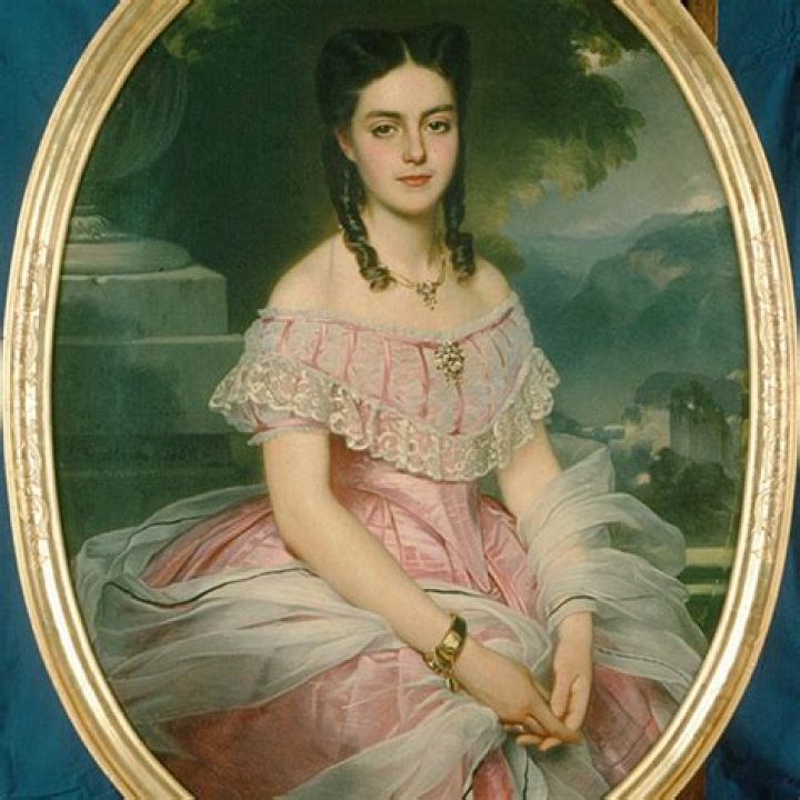 Who was Wilhelmina von Hallwyl?