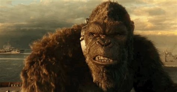 Who won Godzilla or King Kong movie 2021?