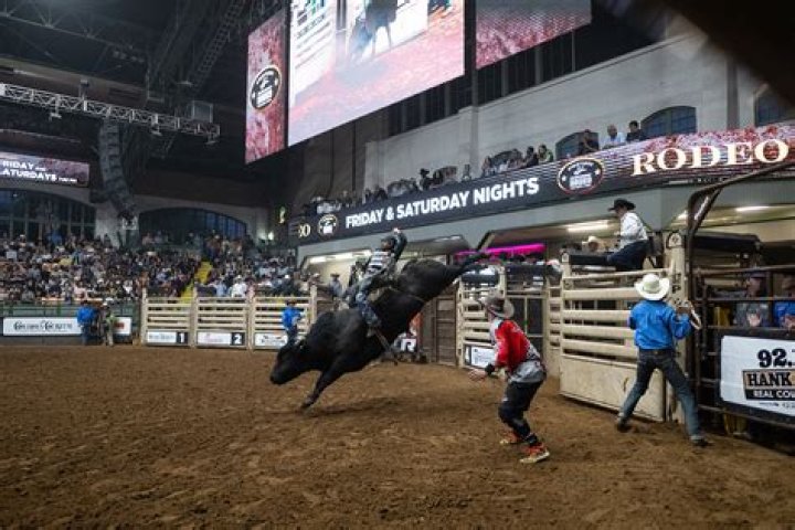 Who won PBR in 2015?