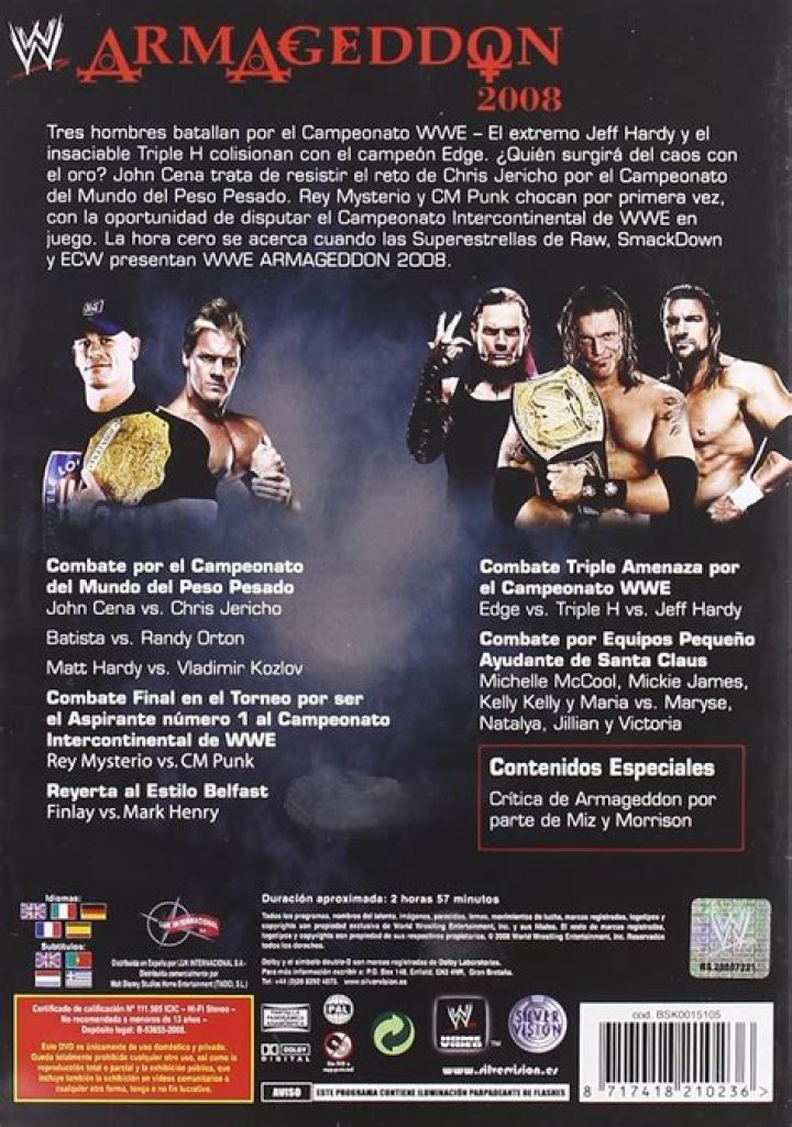 Who won the WWE title at Armageddon 2008?