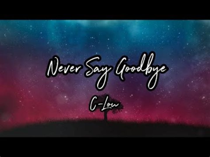Who wrote the song Never Say Goodbye?