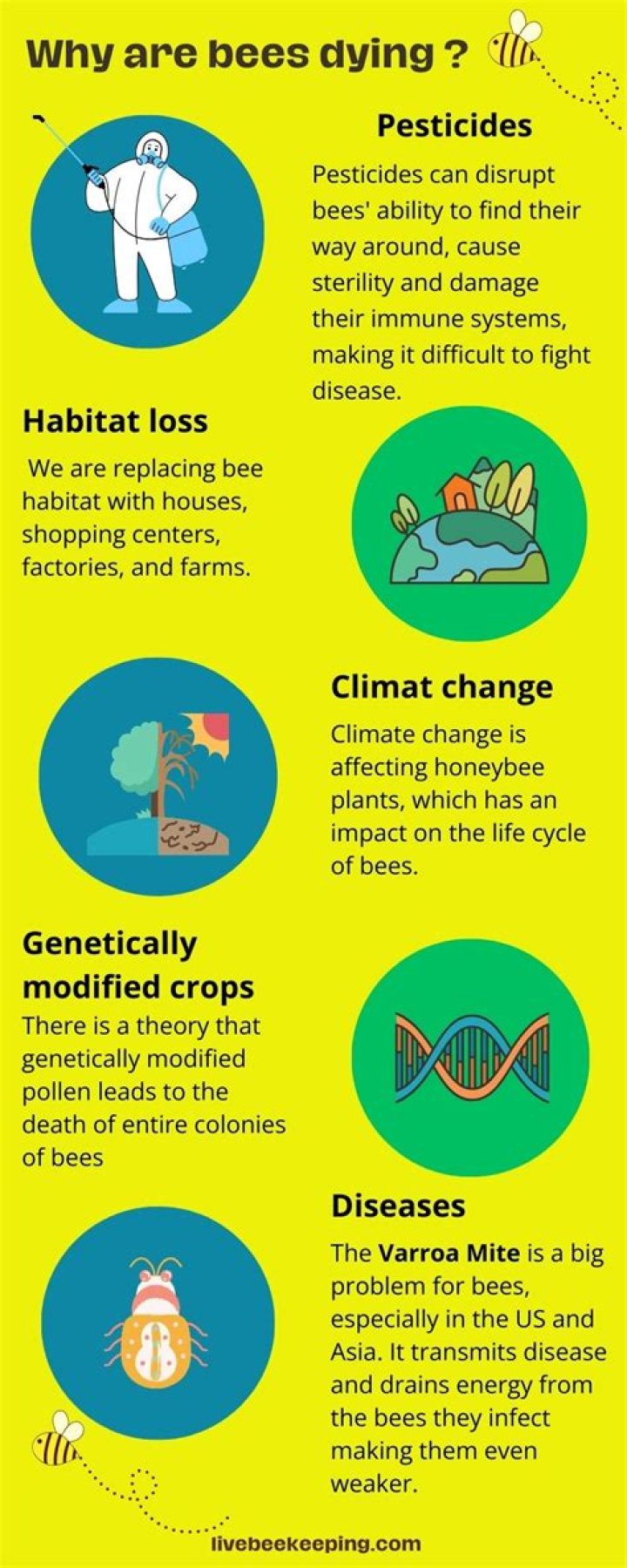 Why are bees dying from pesticides?