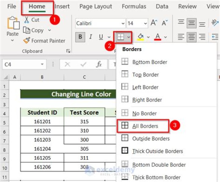 Why are border lines not showing in Excel?
