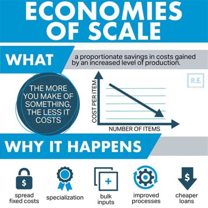 Why are economies of scale important?