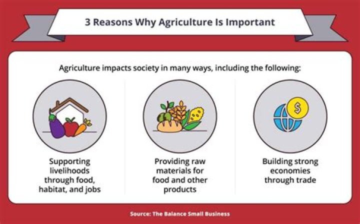 Why are jobs important to the economy?