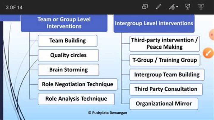 Why are large group Interventions used?