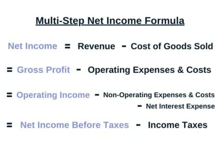 Why are maximizing just net income or just profit inappropriate goals?