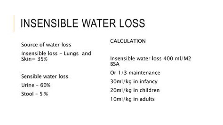 Why are premature infants at high risk for insensible water loss?