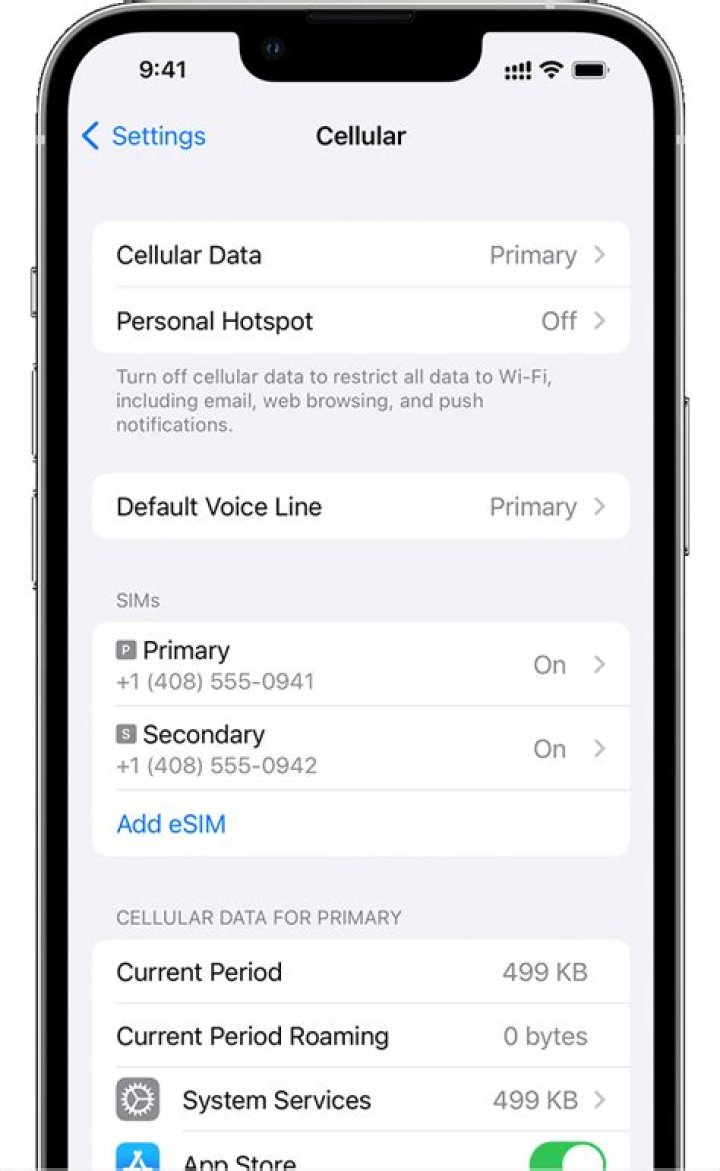 Why cant I download app using cellular data?