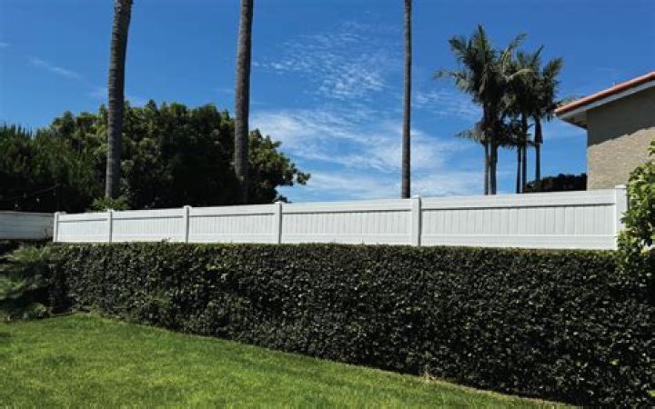 Why choose freedomfencing direct for your PVC fence?