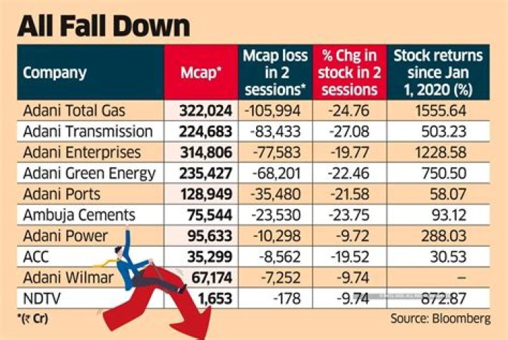 Why did Adani shares fall in 2015?