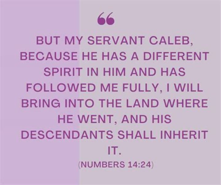 Why did Caleb have a different spirit?