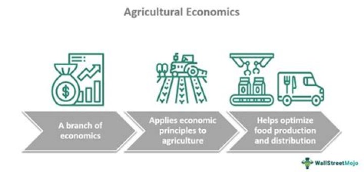 Why did the South develop an economy based in agriculture?