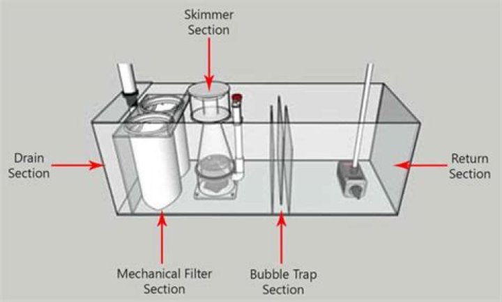 Why do fish tanks have sumps?