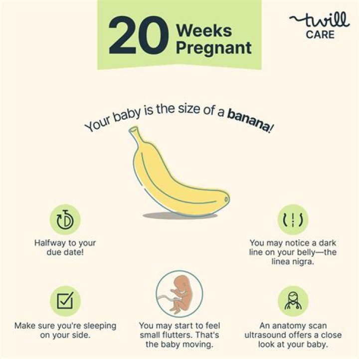 Why do I feel so exhausted at 20 weeks pregnant?