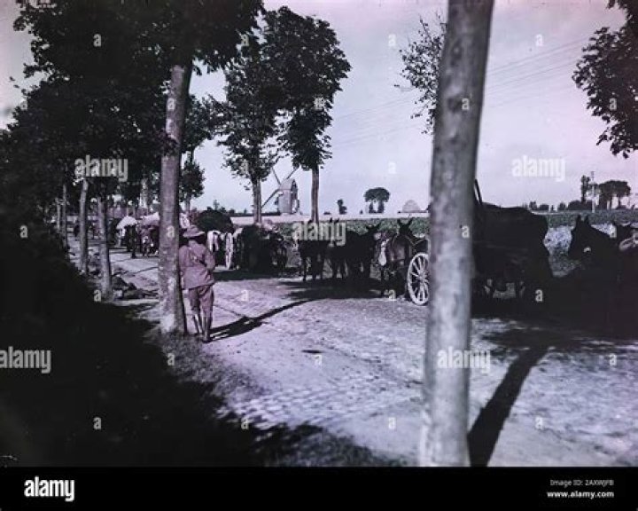 Why do we call the war between 1914 and 1918 a world war?