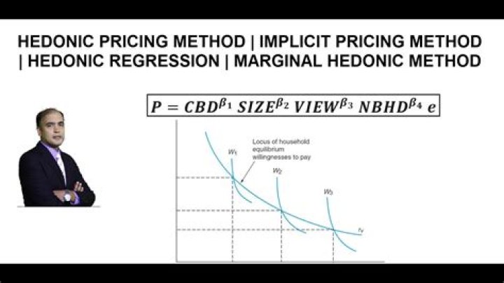 Why do we use hedonic pricing?