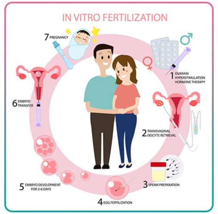 Why does IVF start with birth control pills?