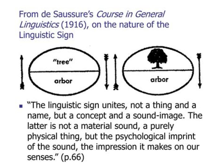Why does Saussure that the linguistic sign is arbitrary?