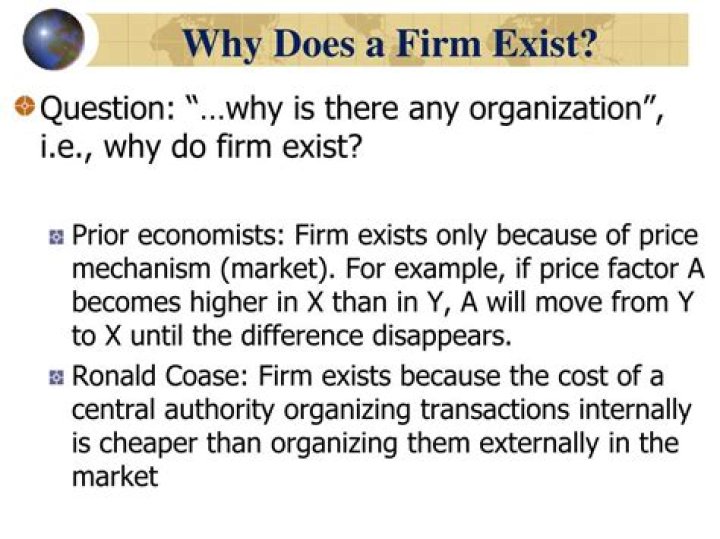 Why does the firm exist?