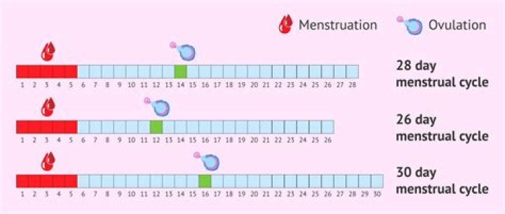 Why have I been on my period for 3 months with NEXPLANON?