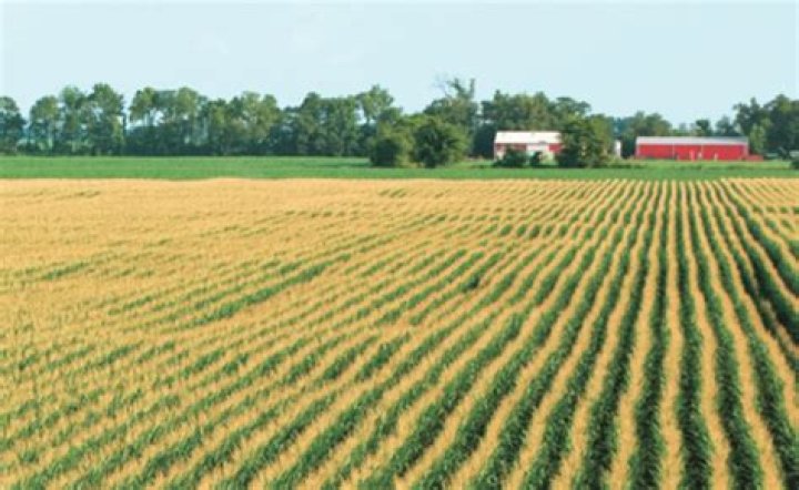 Why is ag important to the United States?