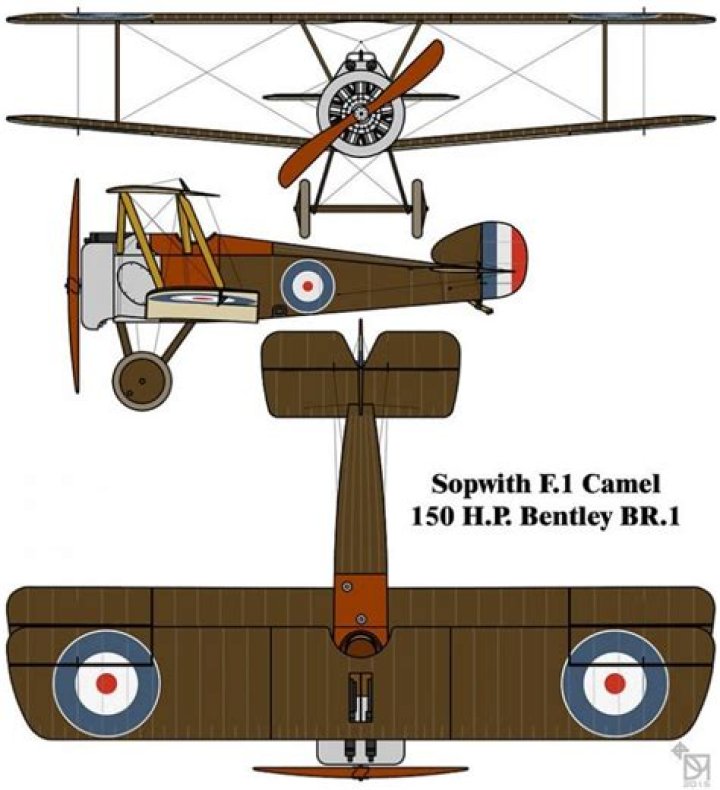 Why is it called a Sopwith Camel?