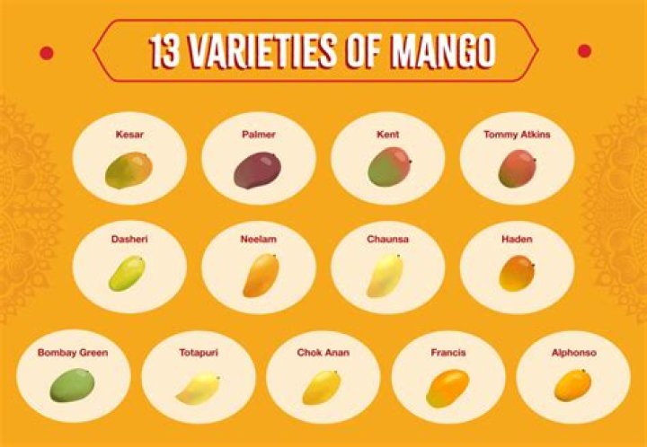 Why is Mangos in Miami closed?