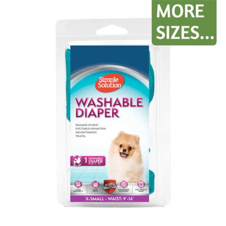 Why is my dog eating dirty diapers?