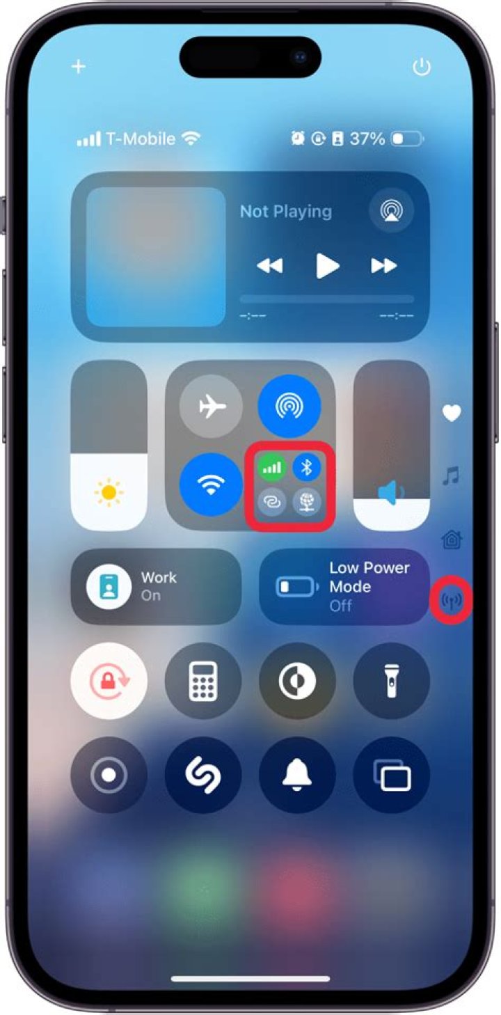 Why is Safari not showing on my iPhone?