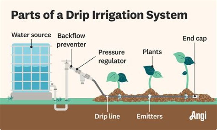 Why is the drip system of irrigation is?