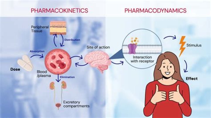 Why is the geometric mean used in pharmacokinetics?