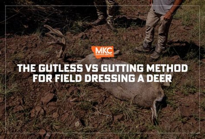 Why is the gutless method controversial?