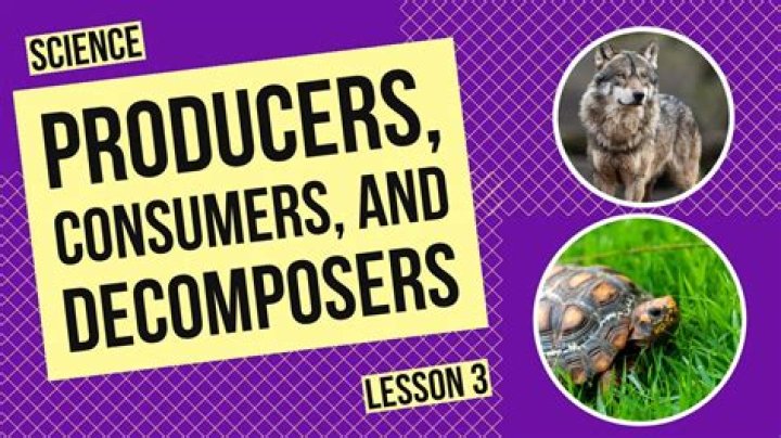 Why is there a relationship between consumers and producers in the market?