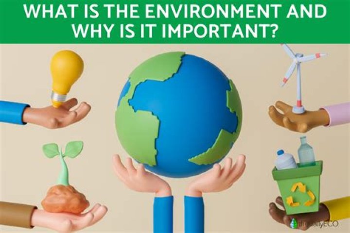 Why saving nature is important?