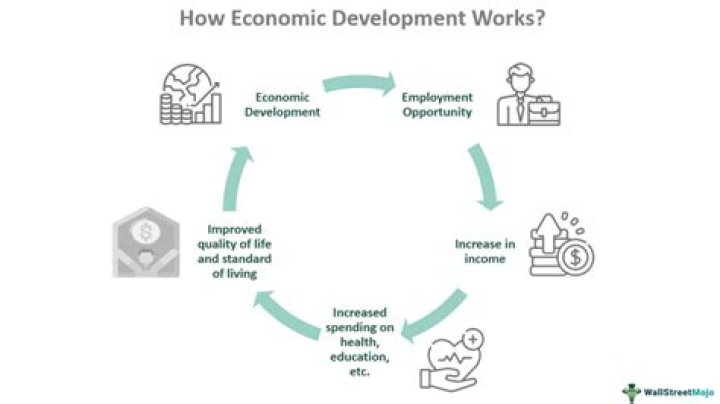 Why small firms are important for the development of a country?