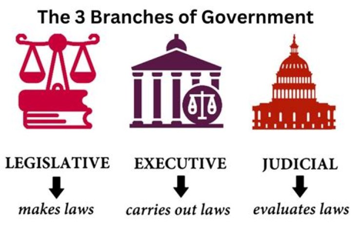 Why the government is very important in the economy?